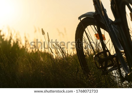 Vintage classic bicycle with nature green backgrounds with water lake river sunset on grass field 
