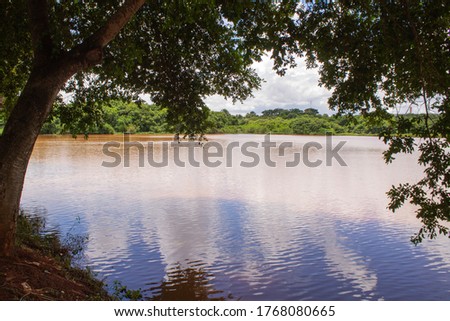 Lake of cloudy waters surrounded by trees and nature