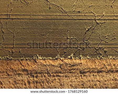Aerial pictures of a crop field with orange/yellow colors.
