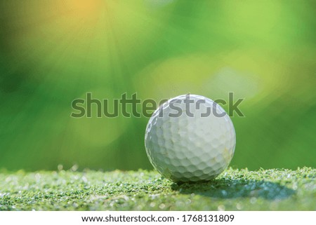 A white golf ball putting on green grass with sunlight green background.