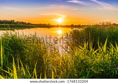 Scenic view at beautiful spring sunset with reflection on a shiny lake with green reeds, grass, golden sun rays, calm water ,deep blue cloudy sky and glow on a background, spring evening landscape Royalty-Free Stock Photo #1768133204