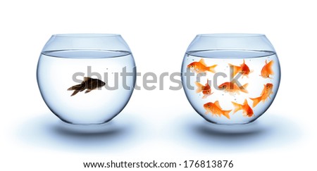 fish in solitude - diversity  concept, racism and isolation 