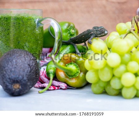 Changing color lizard blending nin some vegetables and fruits