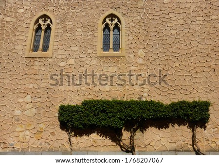 creeping trees on ancient wall