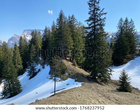 The early spring atmosphere with the last remnants of winter and snow in the Eigental alpine valley, Eigenthal - Canton of Lucerne, Switzerland
