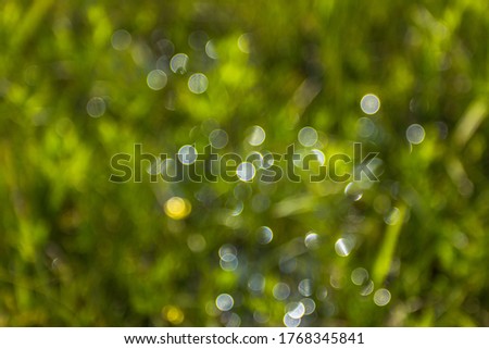 Natural outdoors bokeh in green tones.Blurry nature background.Green bokeh pattern.Defocused abstract wallpaper.Bokeh glitter lights.Space for text website banner.Fresh healthy bio background