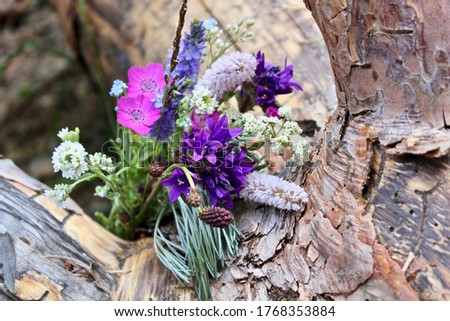 Beautiful flowers on a wood texture. Pink, purple, yellow flowers. A close up of a flower