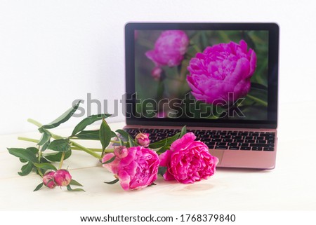 Fresh pink peonies on the desktop and a photograph of these flowers on a laptop screen.