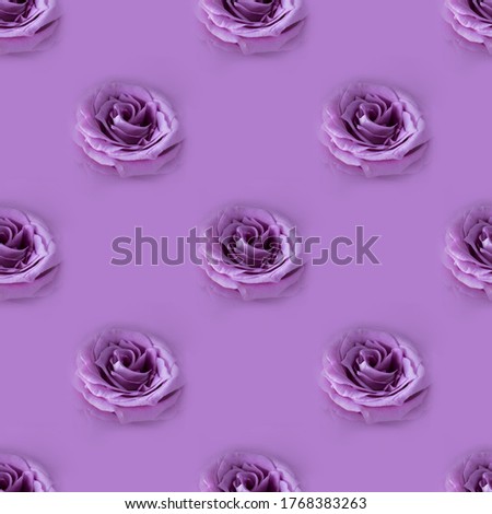Photographic collage. Seamless pattern with Closeup fresh violet rose on monochrome background, Macro shot, picture for postcard and wallpaper, gift package, repeated visual motive to print on paper.