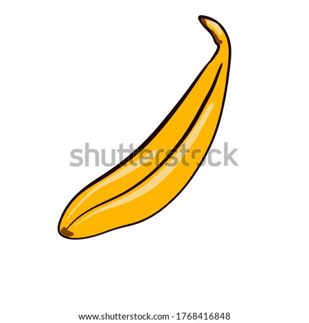 One banana fruit  colorful illustration 
