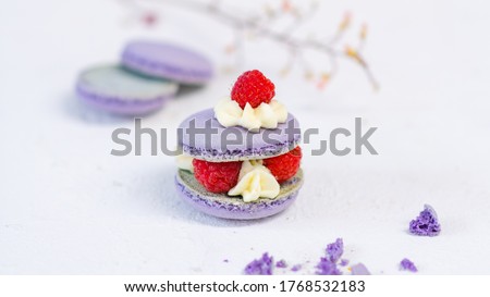 Purple macaroon cake with fresh raspberries on a light background
