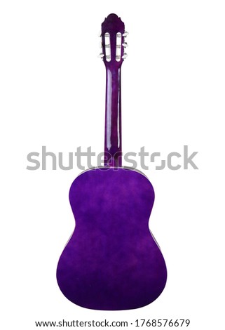 stringed musical instrument guitar in different colors