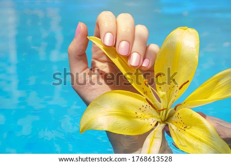 Female hands with pink nail design. Pink nail polish manicured hands. Female hands in pool water holding yellow flower