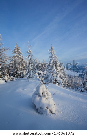 Winter landscape with snow in mountains Carpathians, Ukraine 