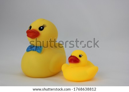 yellow rubber duck in white background