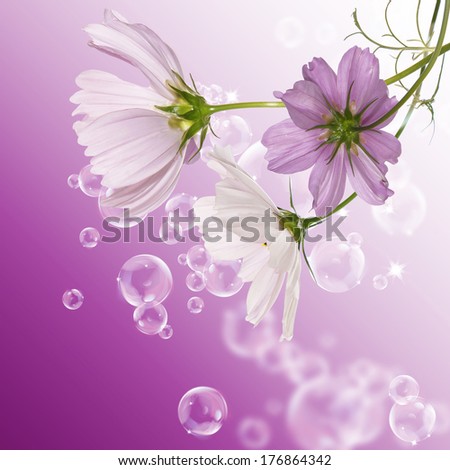 Beautiful Flowers Card