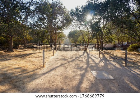 Walking on Outdoor Dirt Path with Tree Shadows