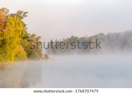 A beautiful morning at sunrise, the fog swirls around the autumn landscape. The mist, sunshine and trees create a dreamy scene. Misty background with place for text, copy space.