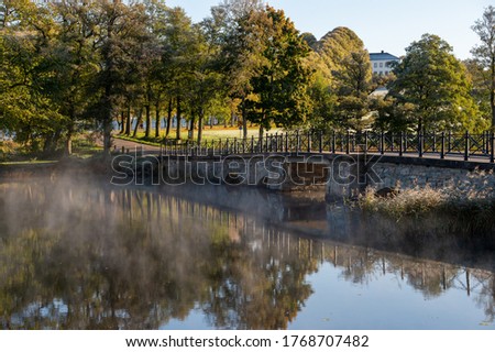 A beautiful morning as the fog swirls around the landscape. The fog, tree, bridge and morning light form create a dreamy scene. Place for text, copy space.
