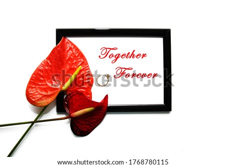 Together forever. Creative layout made of Anthurium/ Flamingo flowers black frame. isolated on white background. Copy space for text.