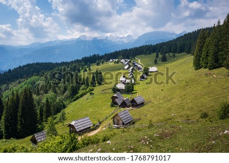 Zajamniki on a plateau Pokljuka in Julian Alps, Triglav national park, Slovenia Royalty-Free Stock Photo #1768791017