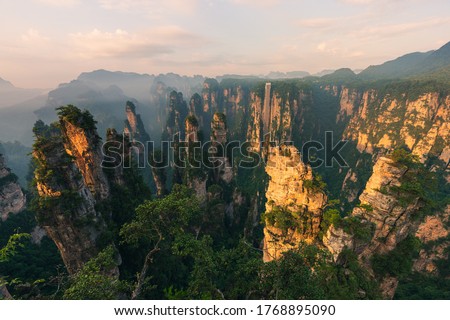 Green nature background, beautiful panoramic picture of Zhangjiajie National Forest Park, Hunan Province, China.