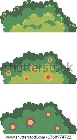 Green bush. Objects for the garden. Bushes with flowers, blooming. Plants, leaves.