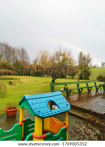 rainbows in the green field