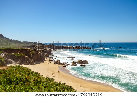 Scenic landscape on the Pacific coastline, California