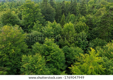 Aerial view of Black Forest, Germany Royalty-Free Stock Photo #1769047949