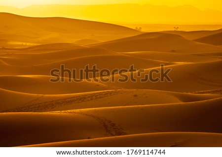 Sand dunes at sunset in Sahara Desert in Morocco