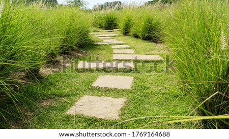 View of a stone path in the tall grass that goes into the distance.