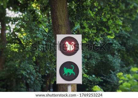 Lighting Red Cat Traffic light in Cats City