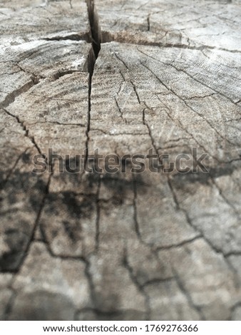 Wood grain picture without dry life