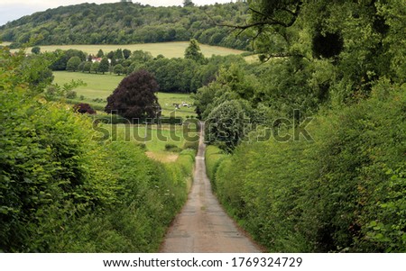 An English Rural Landscape in the Chiltern Hills with lane between tall hedgerows Royalty-Free Stock Photo #1769324729