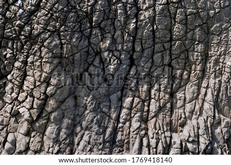 Rock surface like elephant skin of Kara Dag