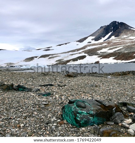 Antarctic stone landscape with green minerals and mountain, Antarctica Royalty-Free Stock Photo #1769422049