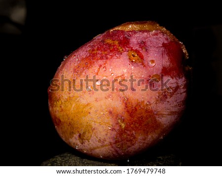 A red plum with water drops. Close-up picture. High-quality photo