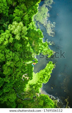 Amazing blooming algae on the river in spring, flying above
