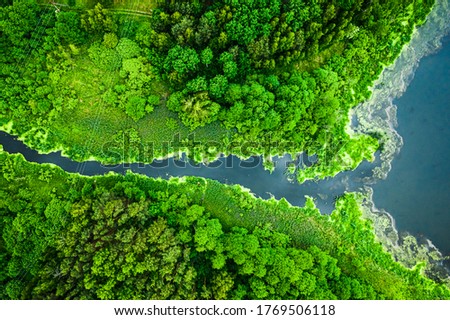 Beautiful green algae on the lake in spring, aerial view Royalty-Free Stock Photo #1769506118