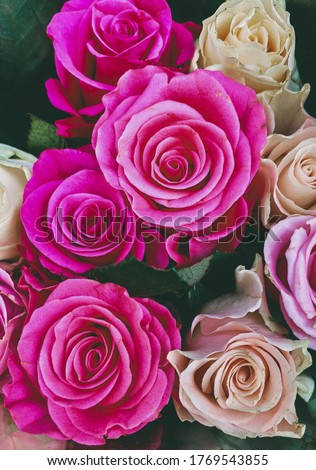 Bouquet of pink and white roses. filmlike vintage filter.