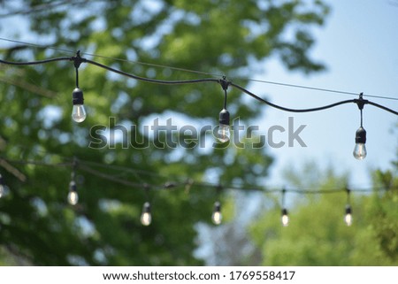 Lights hanging from a wire with trees blurred in the background