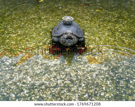 It is said that when a coin falls on the back of a turtle, a wish is made.