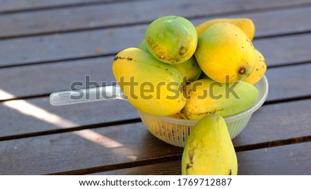 Green and yellow skin of ripen Mangoes with blurry background of nature.