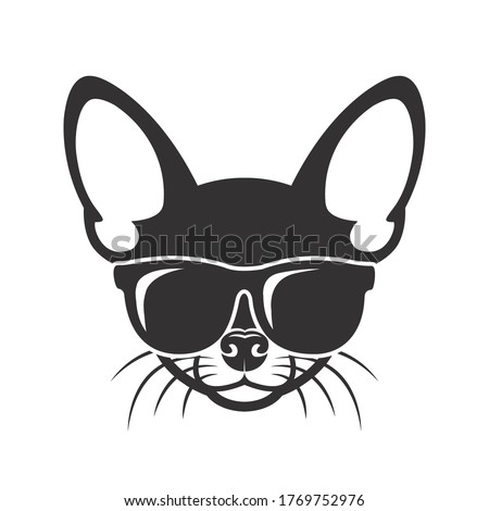 Chihuahua dog wearing sunglasses - isolated vector illustration

