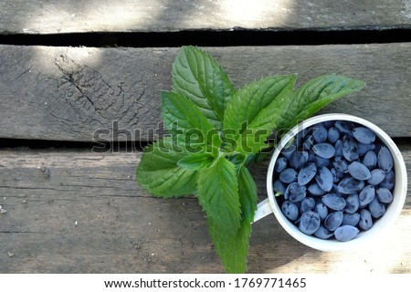  Background image of a white mug with dark purple gray berries of honeysuckle and mint leaves on a rough gray tree with cracks