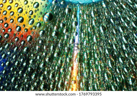 Macro of water drops on multicolor background