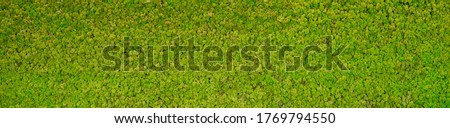 green moss texture Wallpaper, background with copy space Royalty-Free Stock Photo #1769794550