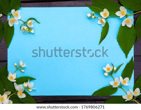 The frame of the branches of jasmine on a blue paper background