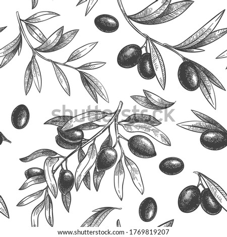 Seamless black olive pattern. Greek olives on branches with leaves, hand drawn sketch vector illustration. Greek olive twig, floral decoration fresh Royalty-Free Stock Photo #1769819207